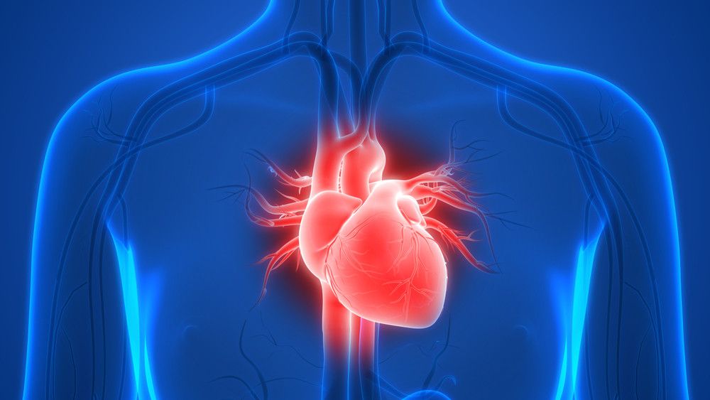 Benarkah Probiotik Bermanfaat untuk Kesehatan Jantung? (Magic-Mine/Shutterstock)