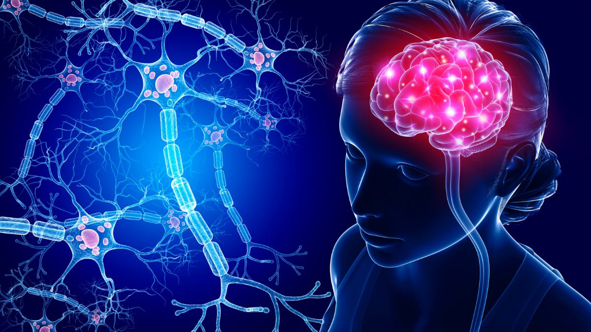 Mengenal Fungsi 12 Saraf Kranial