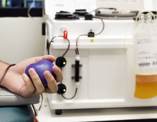 Donor Plasma Darah, Ini Manfaat dan Efek Sampingnya