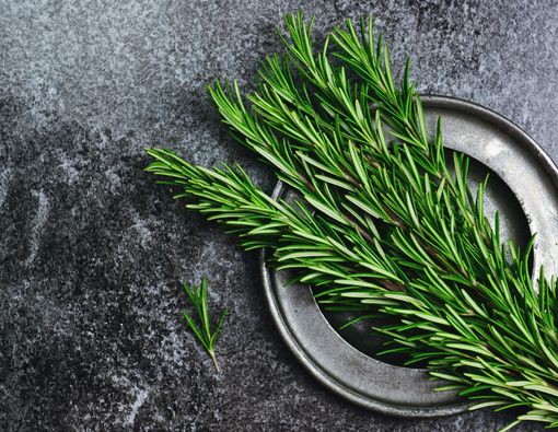 Benarkah Daun Rosemary Bisa Memperbaiki Daya Ingat?