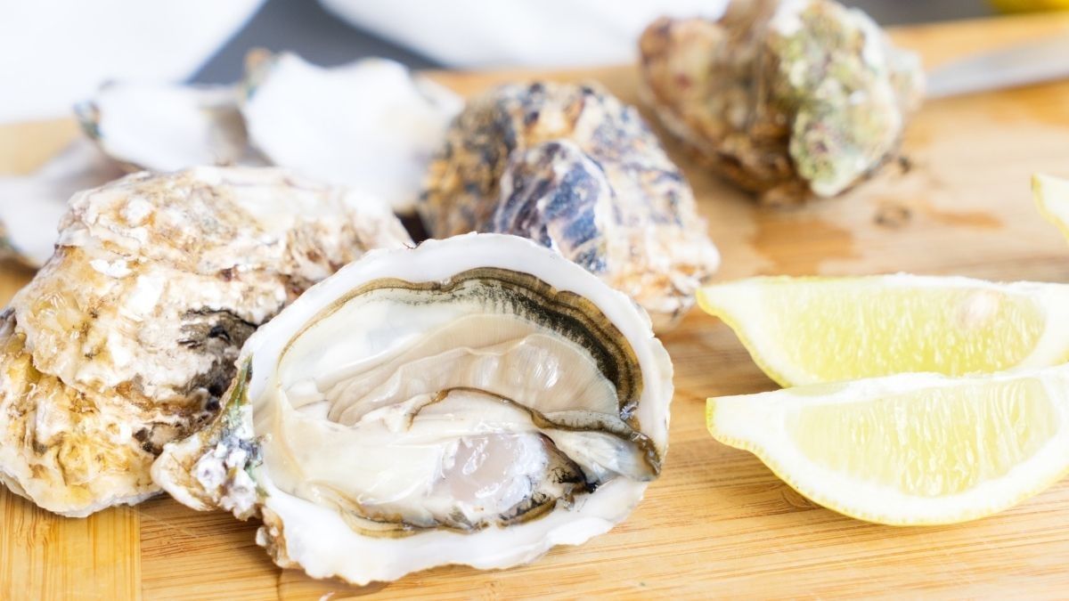 Amankah Memakan Tiram untuk Ibu Hamil?