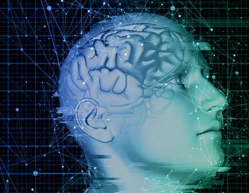 Apa yang Terjadi di Otak Saat Orgasme?