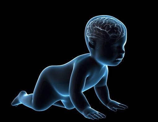 Mitos Soal Otak Bayi yang Tak Perlu Anda Percaya