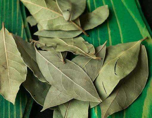 Menyingkap Manfaat Daun Salam untuk Penderita Diabetes