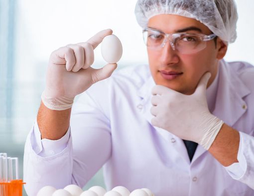 Fakta Mengapa Telur Bermanfaat bagi Kesehatan Anda