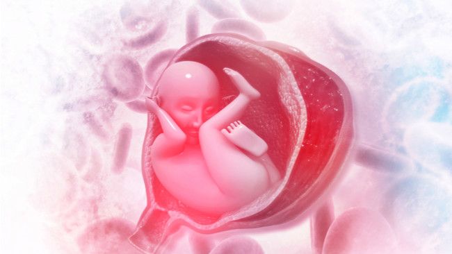 Ibu Hamil Kena Malaria Berisiko Menginfeksi Janin