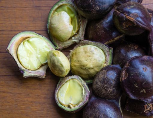 Harga Jengkol Naik, Apa Manfaat Jengkol bagi Kesehatan?