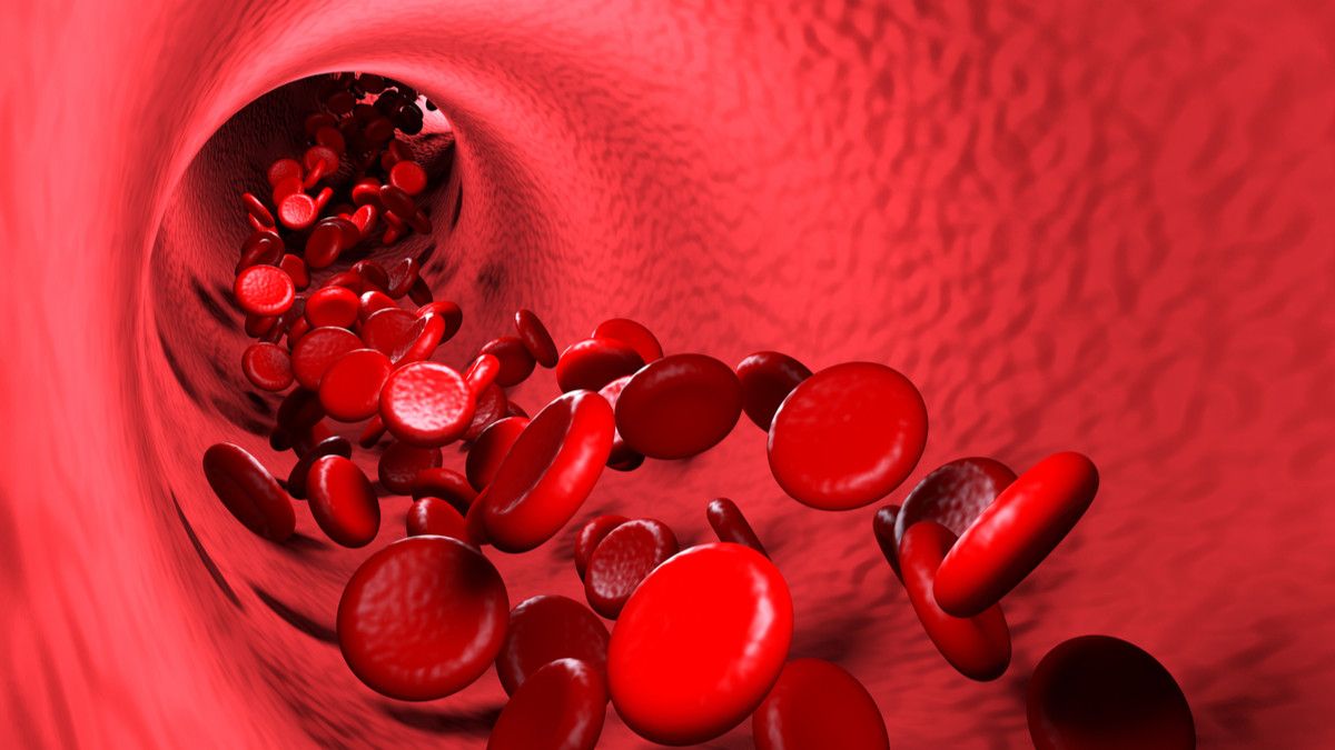 8 Cara Meningkatkan Sirkulasi Darah Tubuh Klikdokter