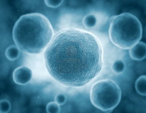 Mengungkap Fakta di Balik Terapi Sel Punca