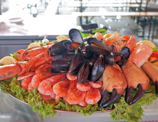 Keracunan Kerang Setelah Pesta Seafood? Ini Sebabnya