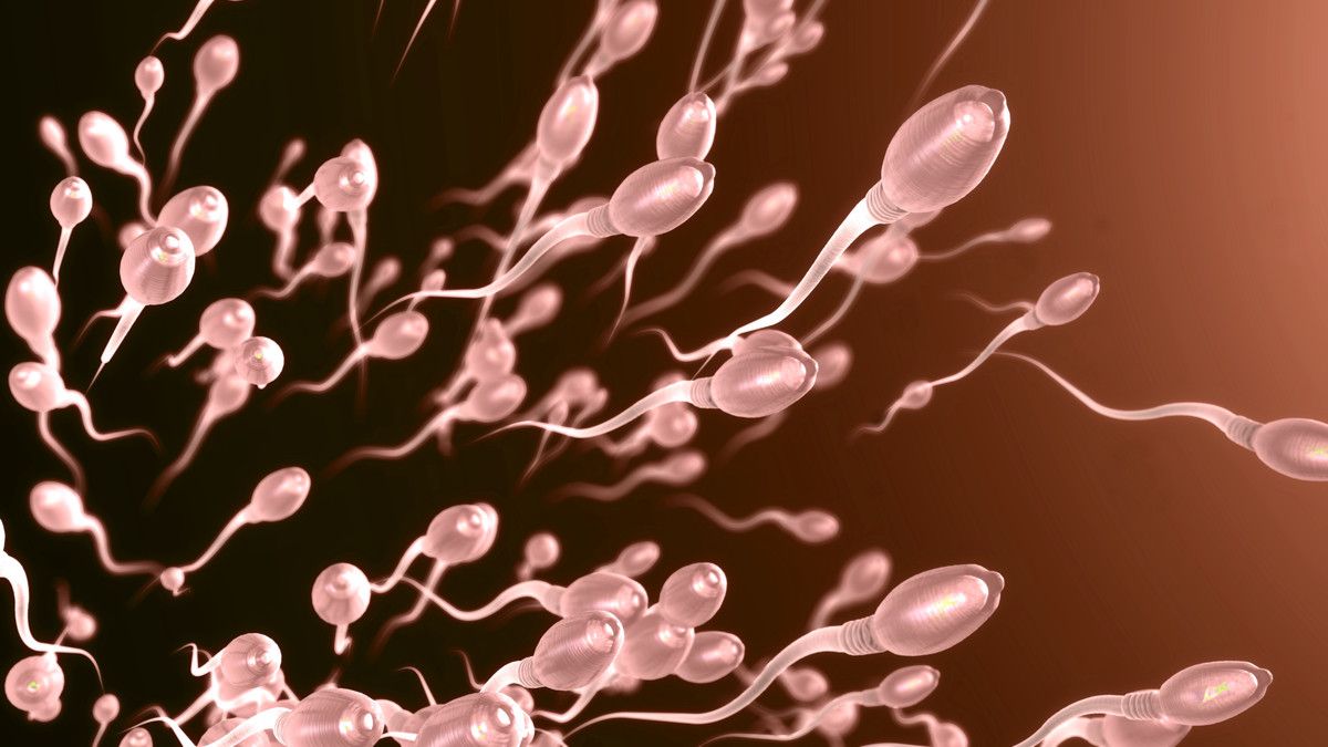Tingkatkan Kualitas Sperma dengan 7 Cara Alami Ini