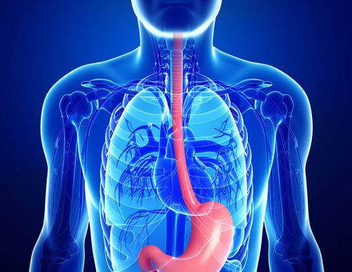 Kenali Penyakit Lambung yang Merenggut Jiwa Pretty Asmara