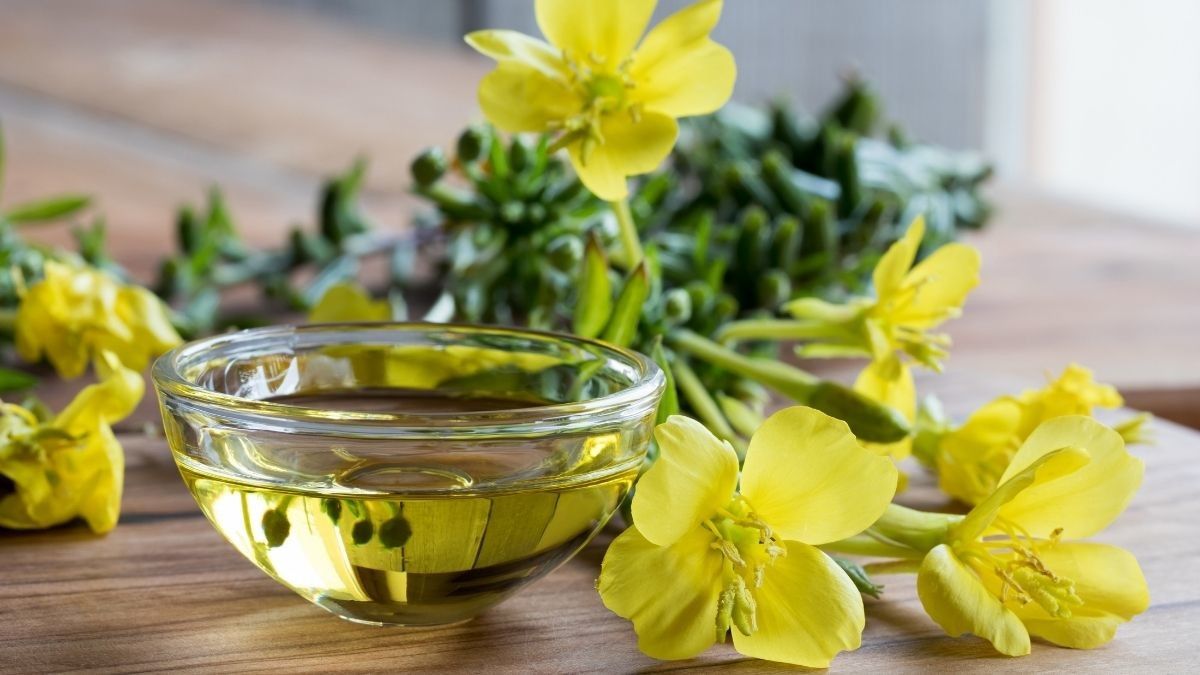 Manfaat Minyak Evening Primrose untuk Kulit
