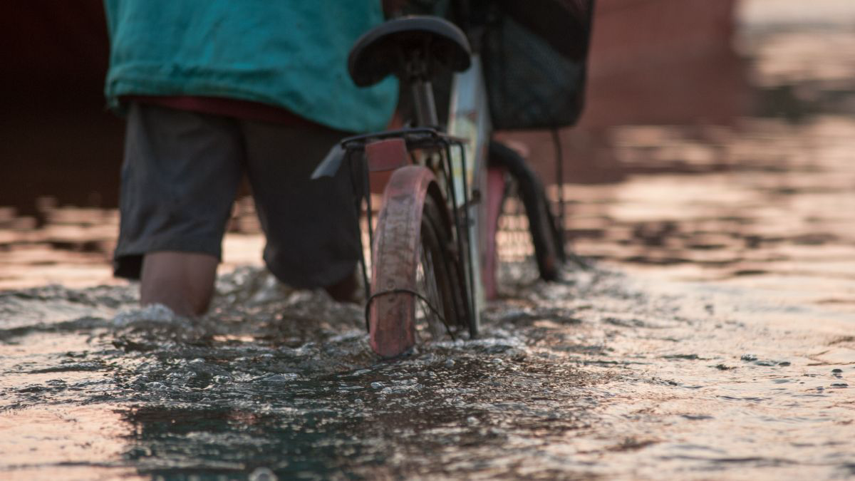 Leptospirosis