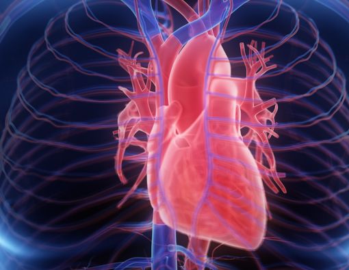 Pembesaran Jantung, Masalah Kesehatan yang Perlu Diwaspadai
