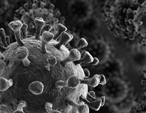 Ternyata, Virus Corona Juga Punya Kelemahan, Apa Saja?