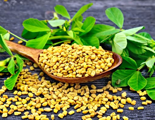 Bisa Lancarkan ASI, Ternyata Fenugreek Mengandung Ini!
