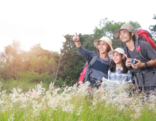Hindari Destinasi Wisata Ini agar Terhindar dari Malaria