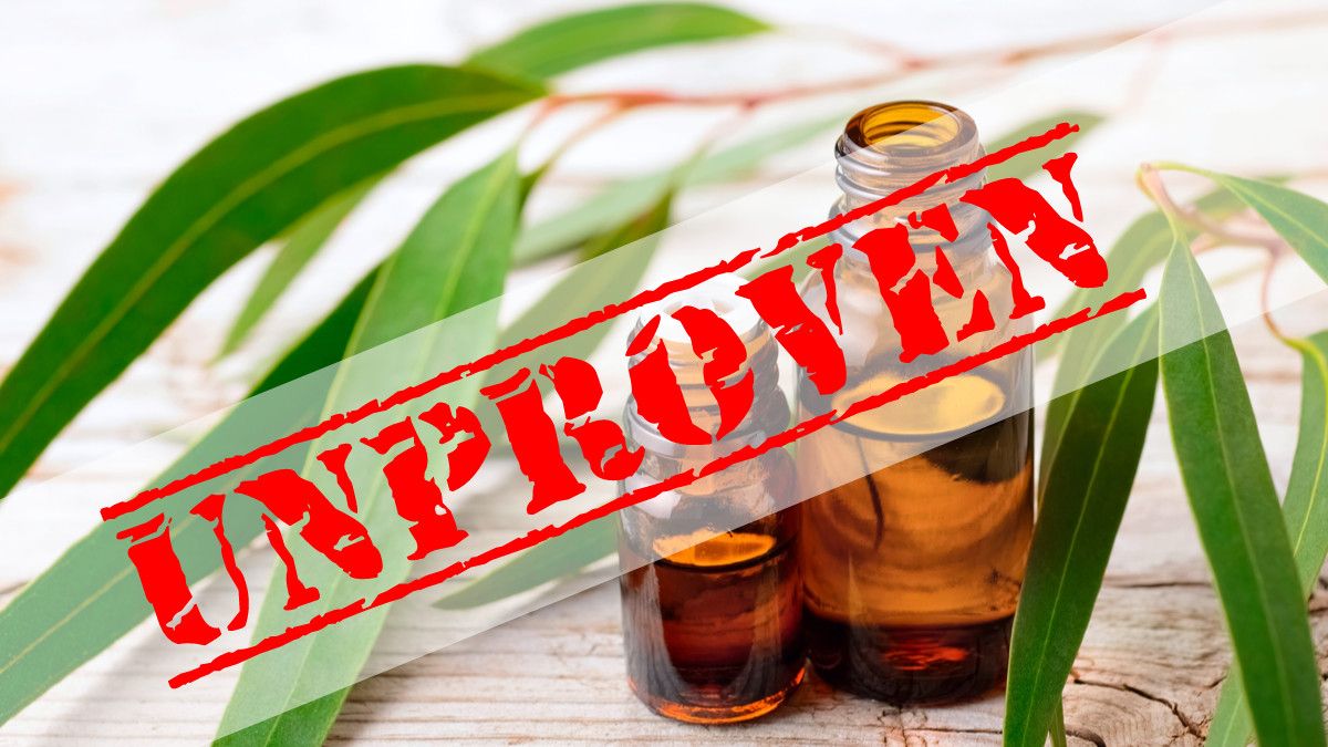 Medfact: Minum Minyak Kayu Putih Bisa Atasi COVID-19?