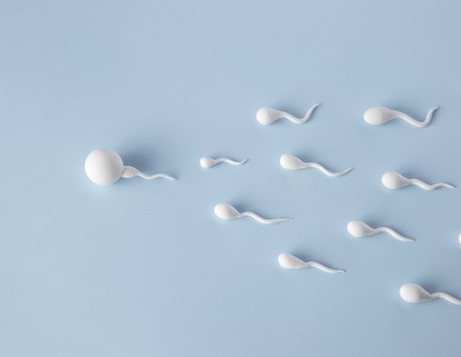 Apakah Benar Kelainan Bentuk Penis Bisa Menyebabkan Sulit Punya Anak?