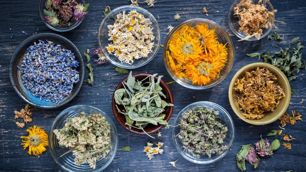 Rekomendasi Herbal untuk Mengatasi Sinusitis