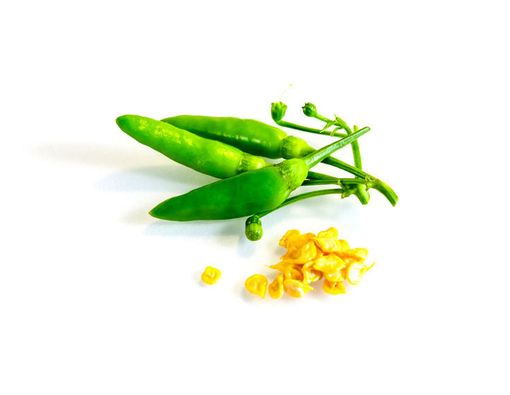 Cabai Rawit Sembuhkan Ambeien, Mitos atau Fakta?