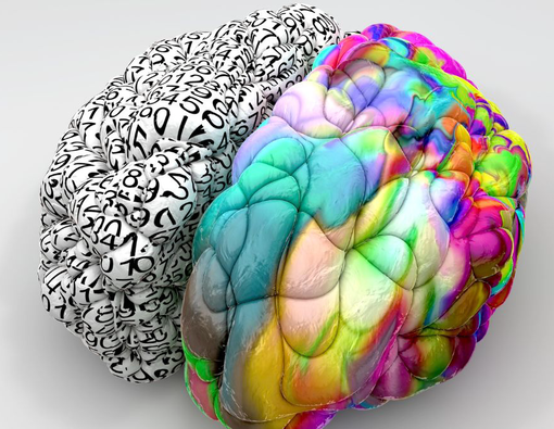 Serba-Serbi Otak Kanan dan Otak Kiri yang Perlu Kamu Tahu 