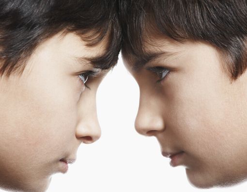 Sibling Rivalry, Ketika Antar Saudara Kandung Jadi Kompetitif