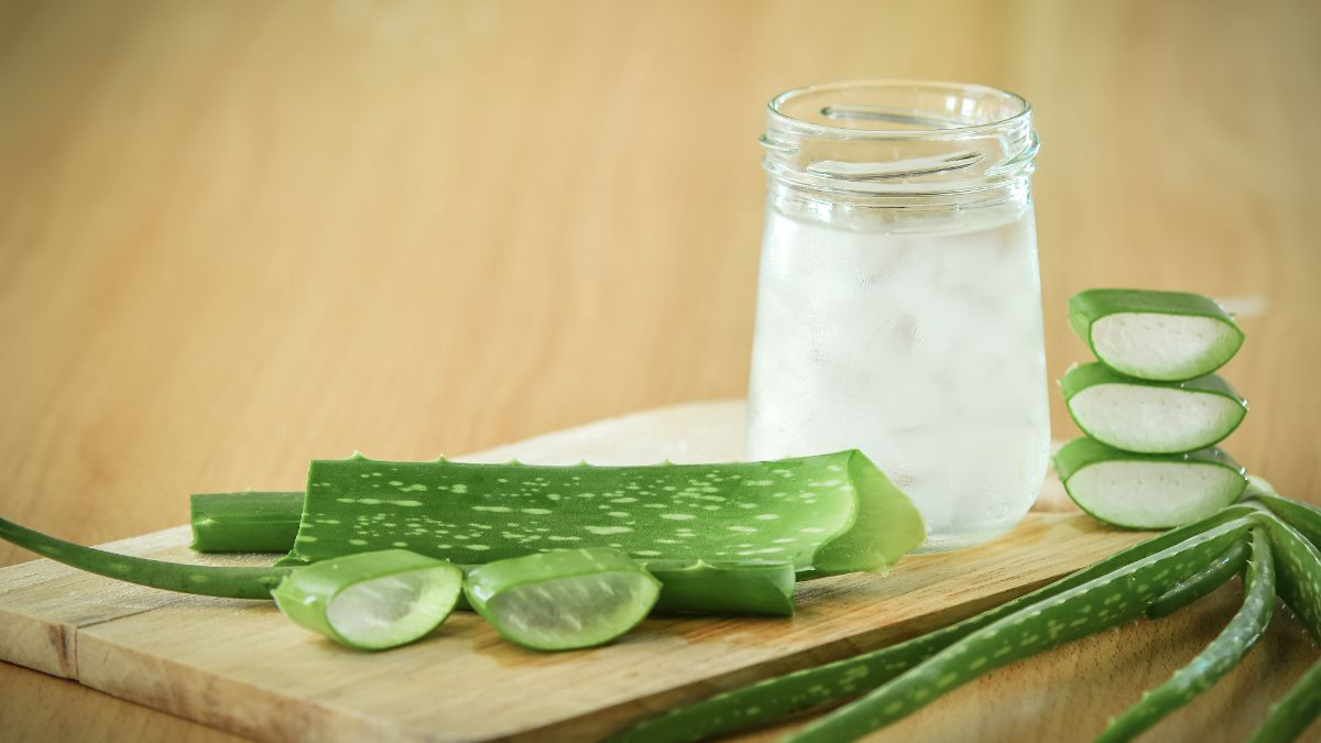 13 Manfaat Lidah Buaya untuk Kesehatan