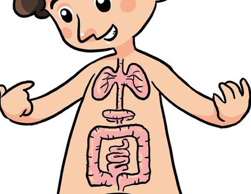 Ciri-Ciri Pencernaan Anak yang Sehat
