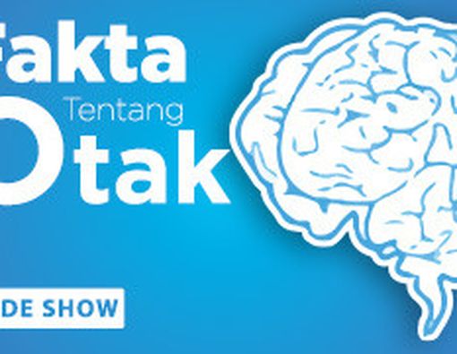 Fakta Tentang Otak