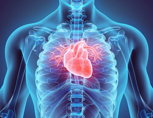 Usia Jantung Pengaruhi Risiko Stroke dan Serangan Jantung