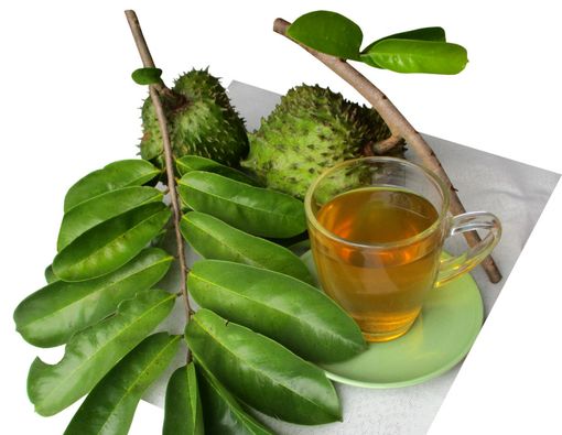 Benarkah Air Rebusan Daun Sirsak Bisa Atasi Mag?