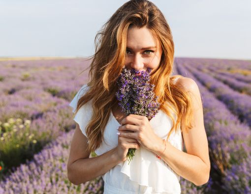 Benarkah Aroma Lavender Efektif Atasi Stres?