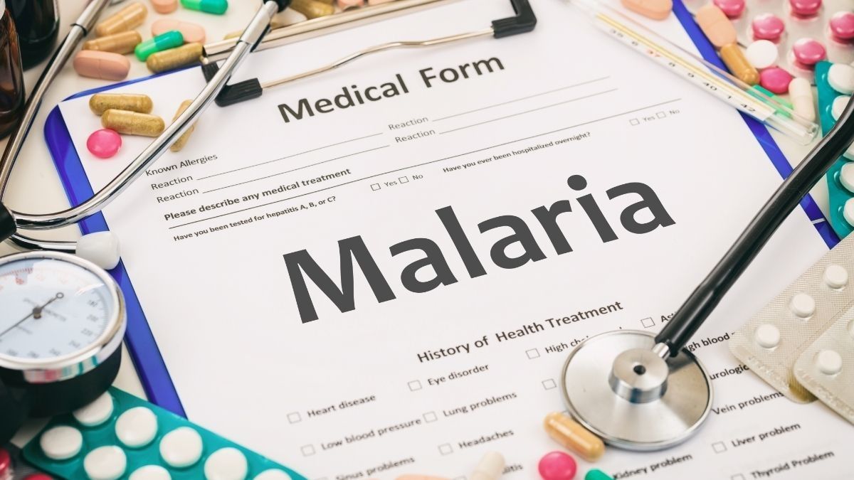 Malaria Cerebral, Saat Komplikasi Malaria Pengaruhi Otak KlikDokter