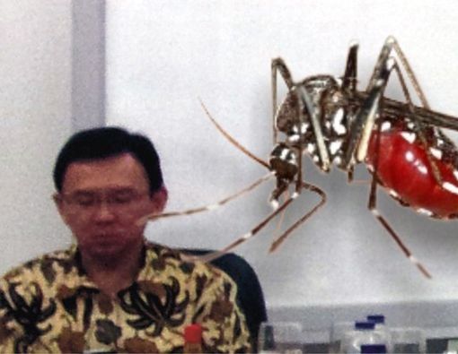 Ahok Kena DBD