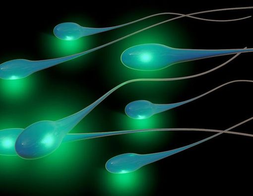 Mengenali Tanda-tanda Sperma Sehat