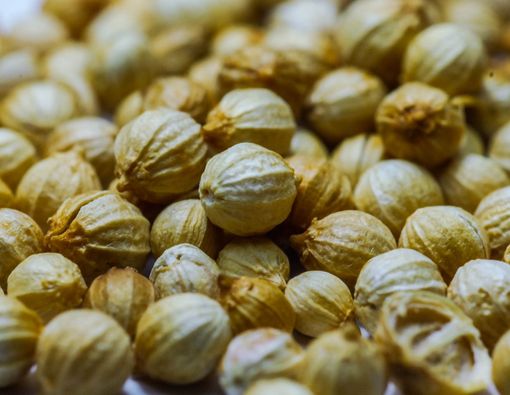 Manfaat Air Rebusan Ketumbar bagi Kesehatan