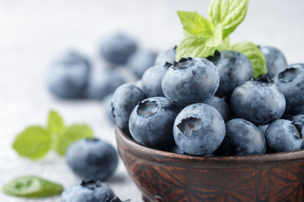 Inilah Sederet Manfaat Blueberry untuk Kesehatan Tubuh Anda