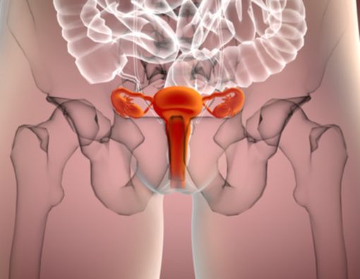 Ini Wanita yang Berisiko Terkena Kanker Serviks