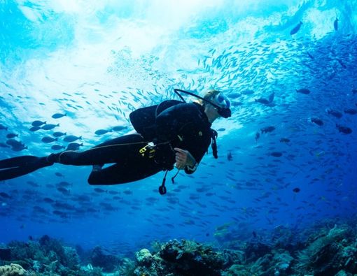 Bolehkah Pasien Sudah Ganti Katup Jantung Menyelam?