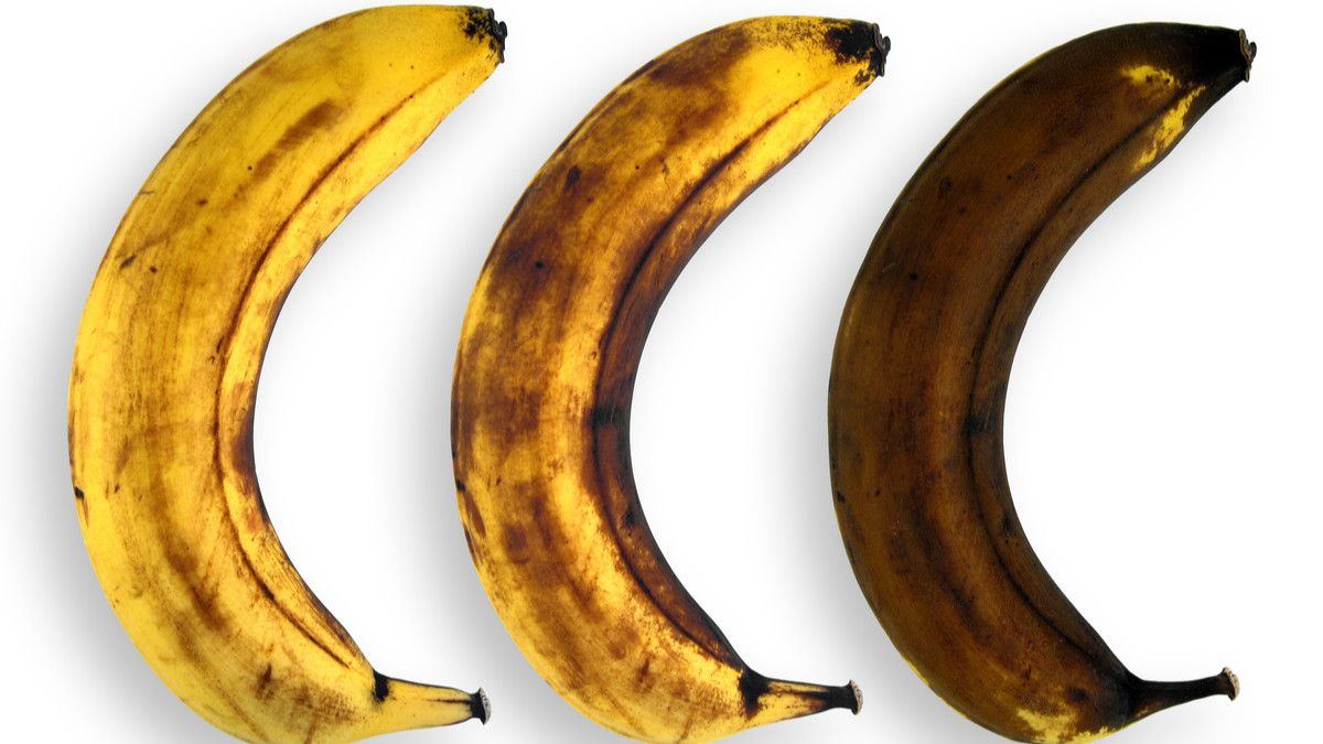 Penis Menghitam Setelah Tak Sengaja Tergigit, Apakah Itu Normal?