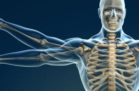 Peran Isoflavon dalam  Pencegahan Osteoporosis