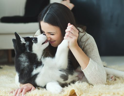 Memelihara Anjing Bisa Bikin Panjang Umur, Ini Penjelasannya
