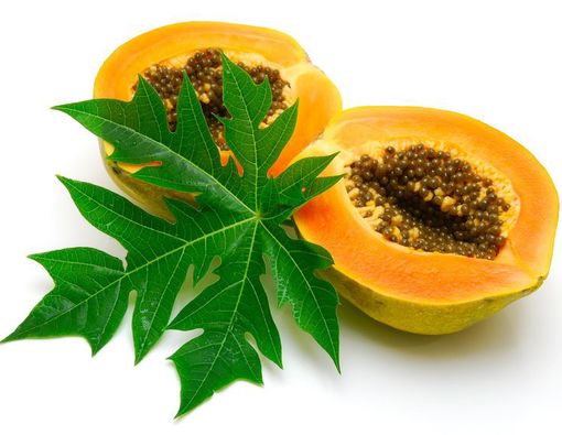15 Manfaat Daun Pepaya untuk Kesehatan, Cegah Penyakit!