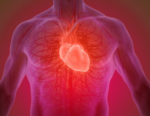 4 Penyakit yang Berhubungan dengan Jantung