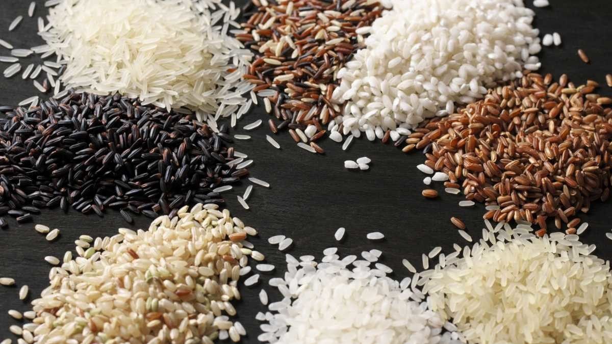 Pilihan Beras yang Baik Dikonsumsi Saat Bulan Puasa