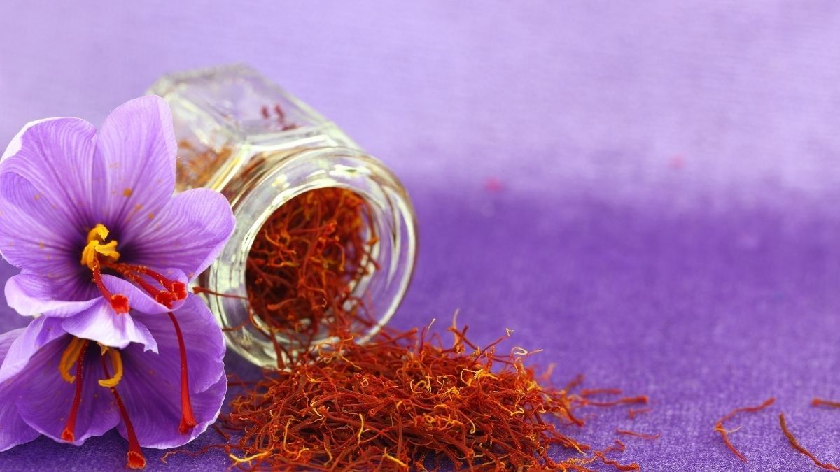 Benarkah Saffron Bisa Meningkatkan Kesuburan?