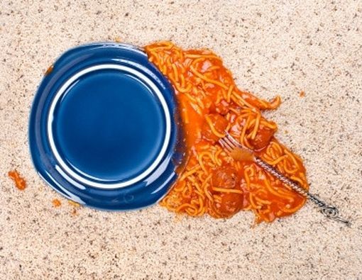 Makanan Jatuh Belum 5 Detik, Masih Amankah? 