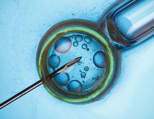 Pantangan Makanan selama Proses Bayi Tabung yang Wajib Diketahui